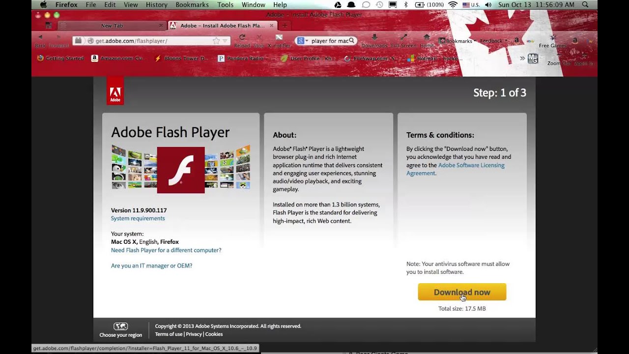 Adobe Flash Player Is It Safe For Mac
